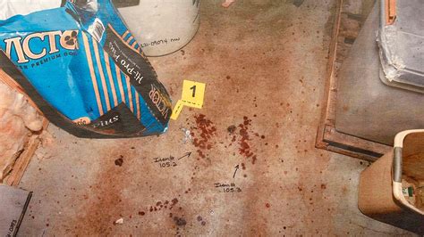 murdaugh murders photos|Photo Gallery: See evidence photos from Alex Murdaughs。